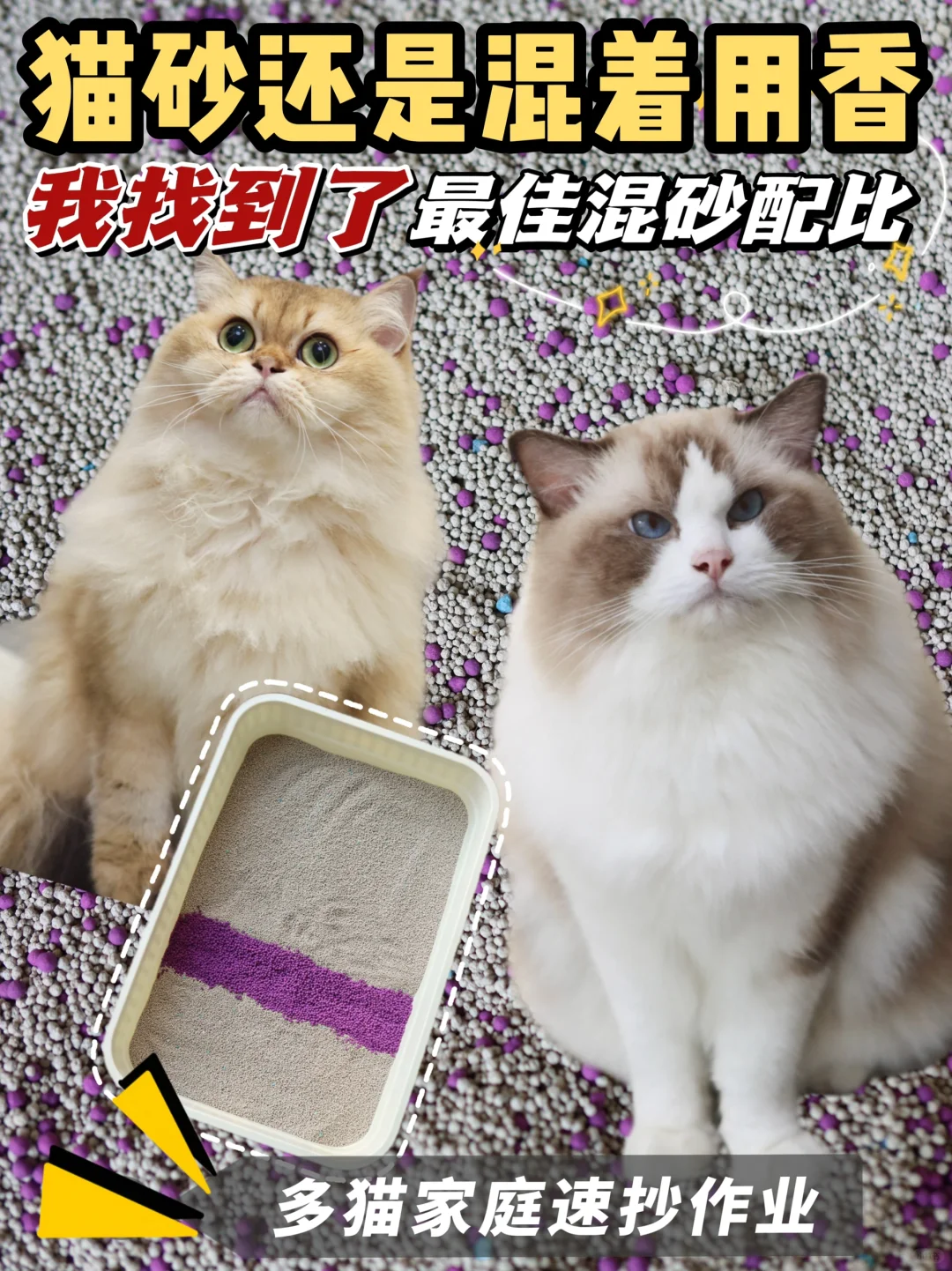 猫砂还是混着用香！万能混砂公式直接抄作业