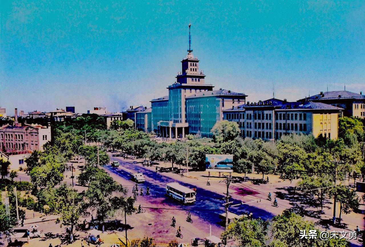 城市街景，绿树成荫，建筑高耸，生活气息浓厚。走进哈工大看近代发展史。