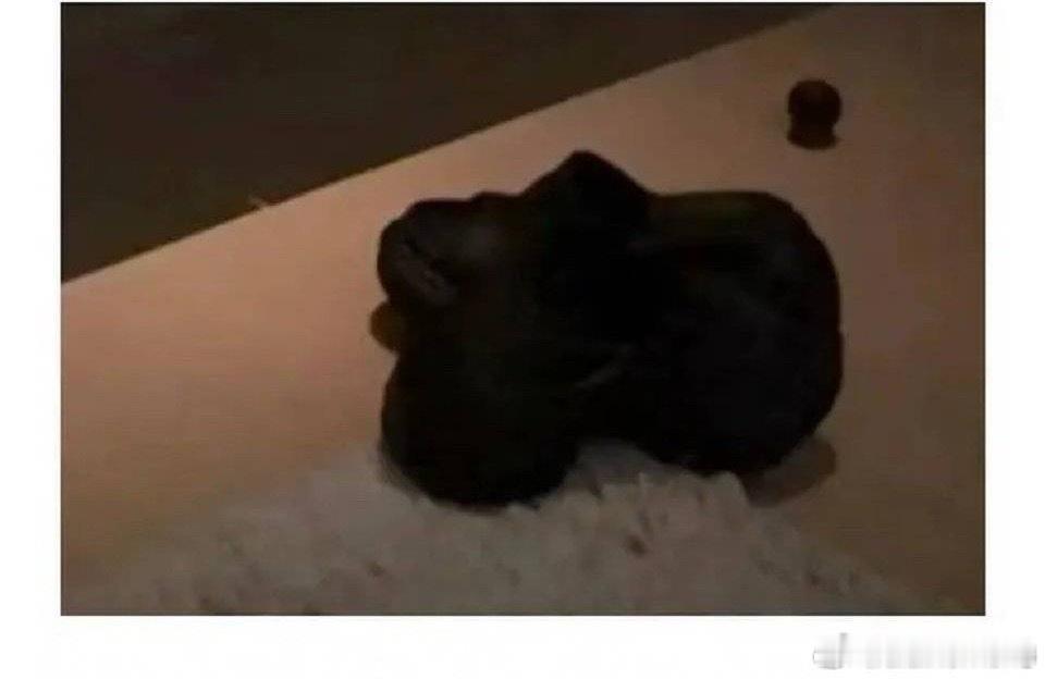 我想想…这玩意儿内娱哪个男明星出来认领我能信