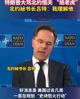 特朗普怒骂北约成员国都是“纸老虎”，谁也没有想到，北约秘书长风轻云淡的表示：我理