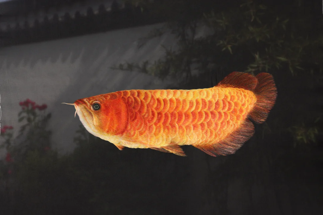 有灵魂的一条鱼….