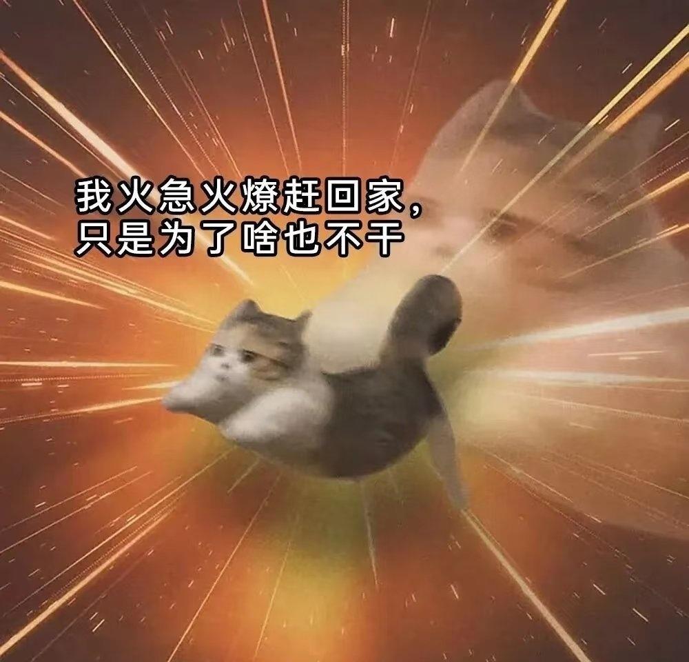 梗图分享 ​​​