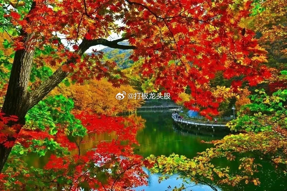 我们可能都误会三桶油了，为什么国际油价喋喋不休，国内油价蹭蹭上涨？想一想国家大战
