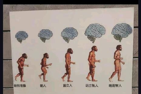 作者探访良渚遗址公园后，结合遗传学研究探讨中国人的祖源问题，指出古籍中的上古圣王