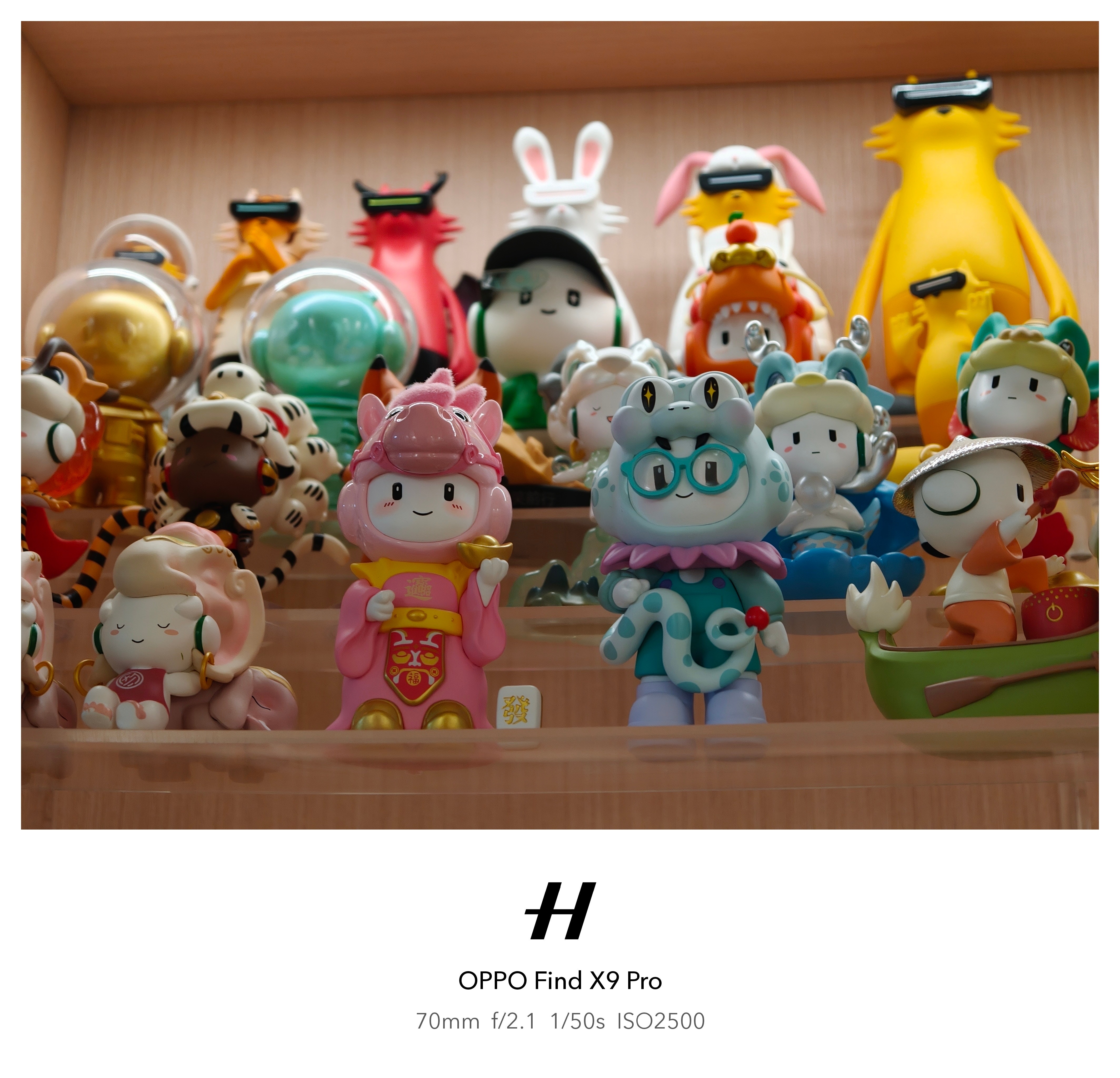 小欧又新增一位新成员