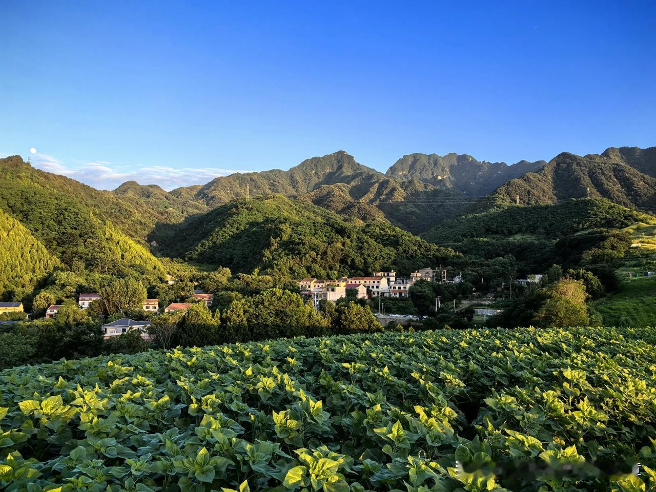 《终南山》
一一王维
太乙近天都，连山接海隅。

白云回望合，青霭入看无。

分