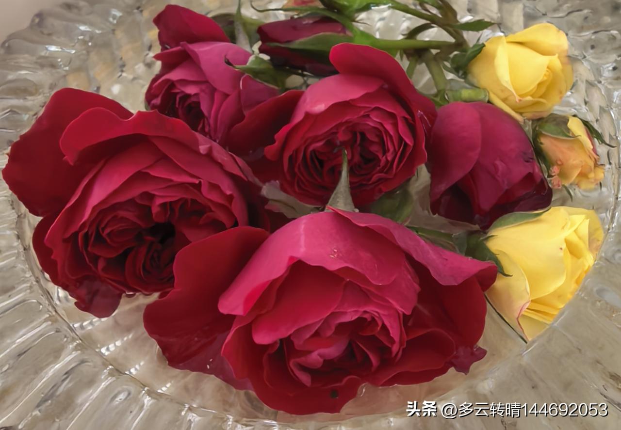 开工资知道往家里拿，放假知道往家跑，知道大早出去买菜，知道挑你喜欢吃能吃的买，知