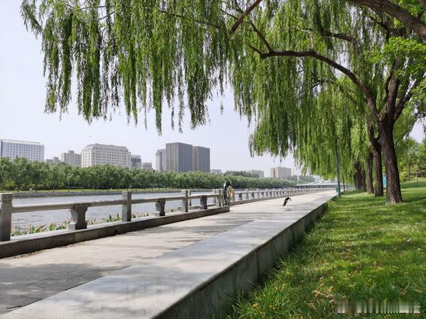 郑州 恭喜郑州！再添一张“国字号”名片：国家生态园林城市。