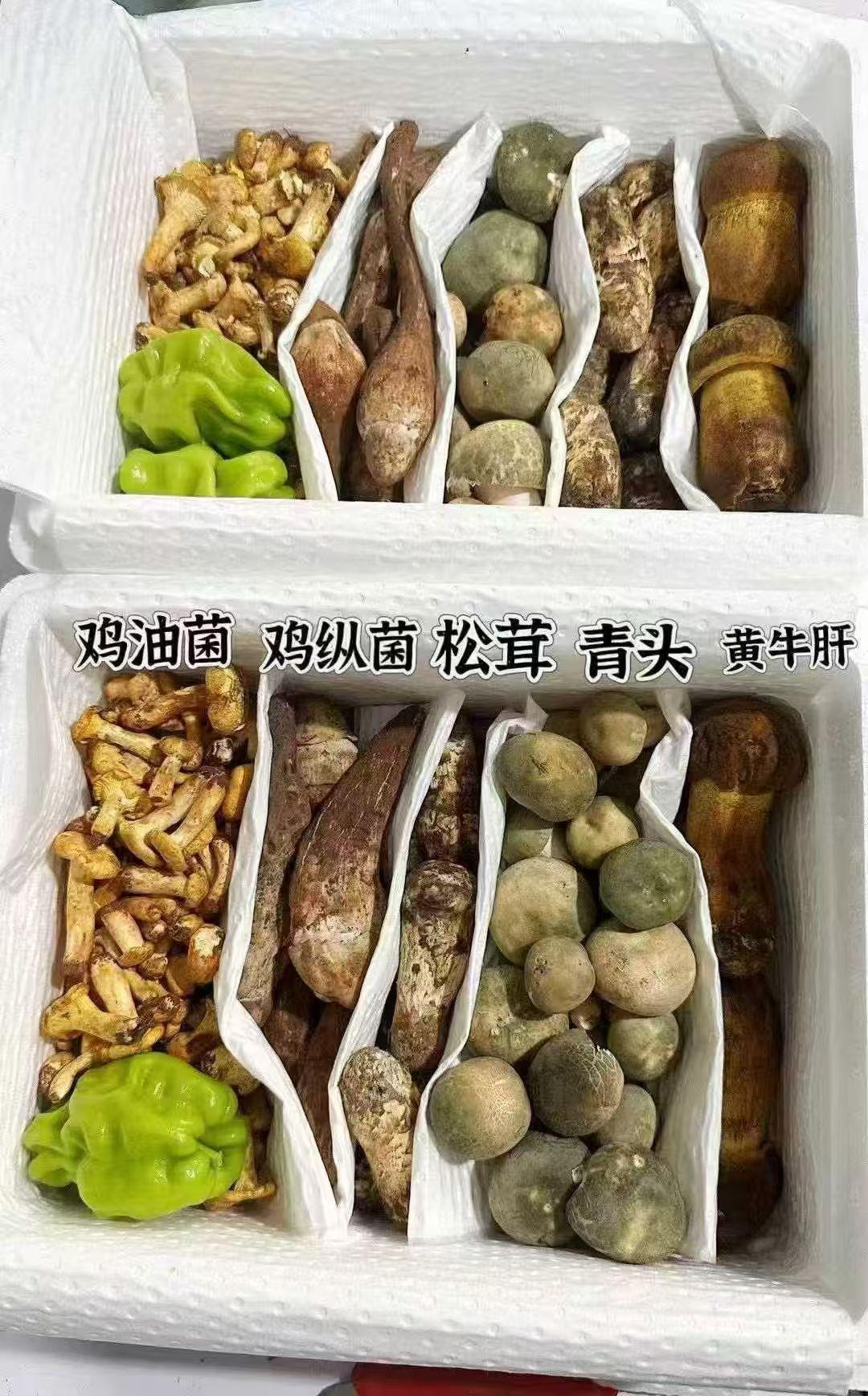 云南雨季限定🍄野生菌保姆级打卡攻略！
来云南的终极浪漫，就是吃一口从山里刚冒头