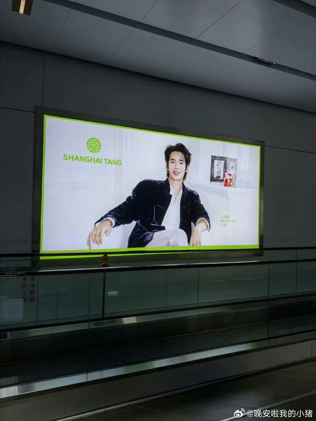 于适新代言，上海滩品牌生活方式代言人，已经铺上地广了[yeah][yeah] ​