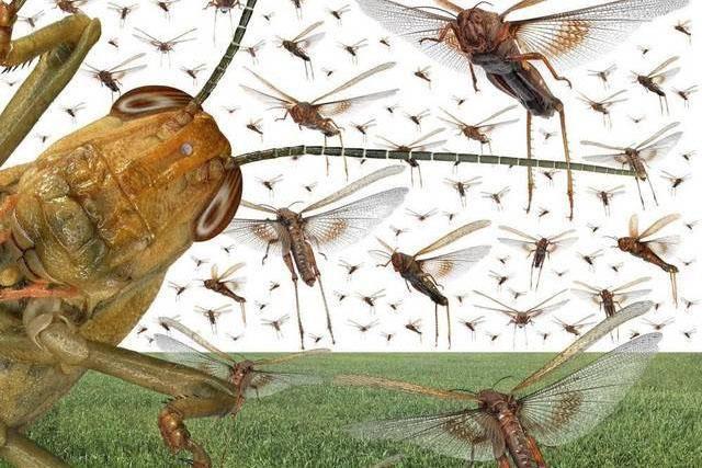 贯穿中国历史几千年，挥之不去的两个字就是饥饿，中国人能吃饱饭，也就是上世纪80年