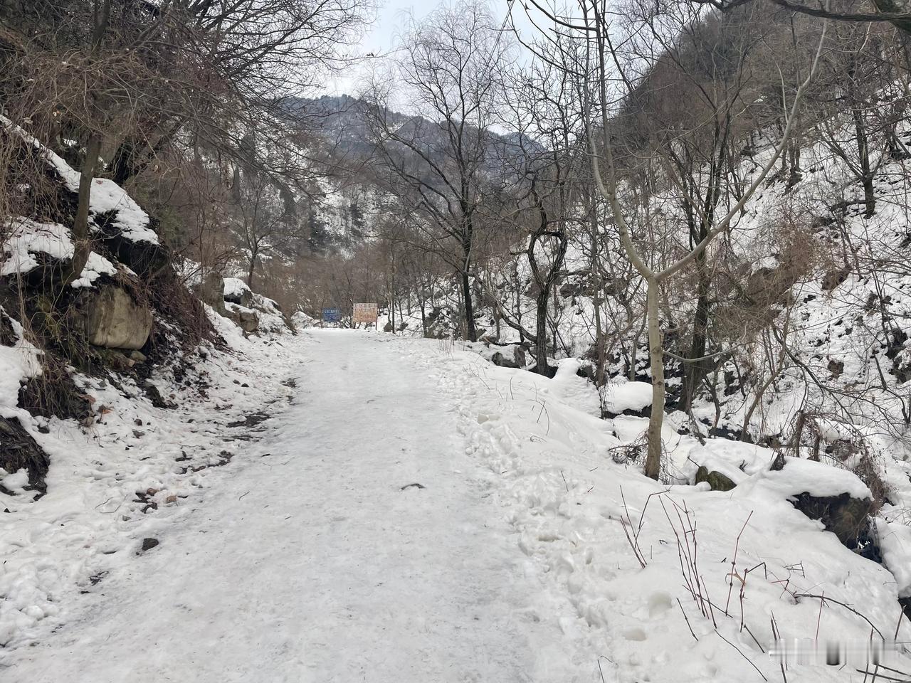 【卜算子•昨夜冷飕飕】
昨夜冷飕飕，今日风和雨。
春至人间万象新，草木悠悠步
桃