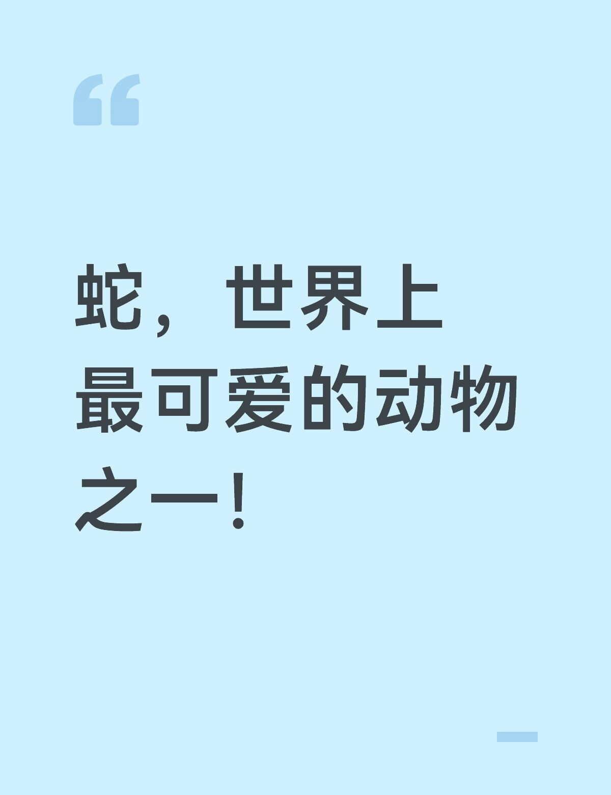 蛇 有趣的宠物 爬行动物 蛇蛇教 可爱的小动物