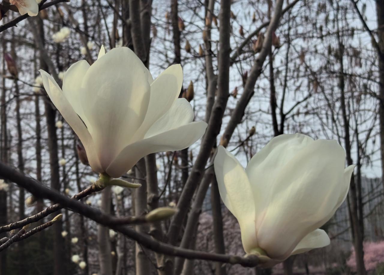【热评】婚姻绝不是儿戏
妻子4次试管未孕 丈夫出轨生子获刑

海南海口男子李某因