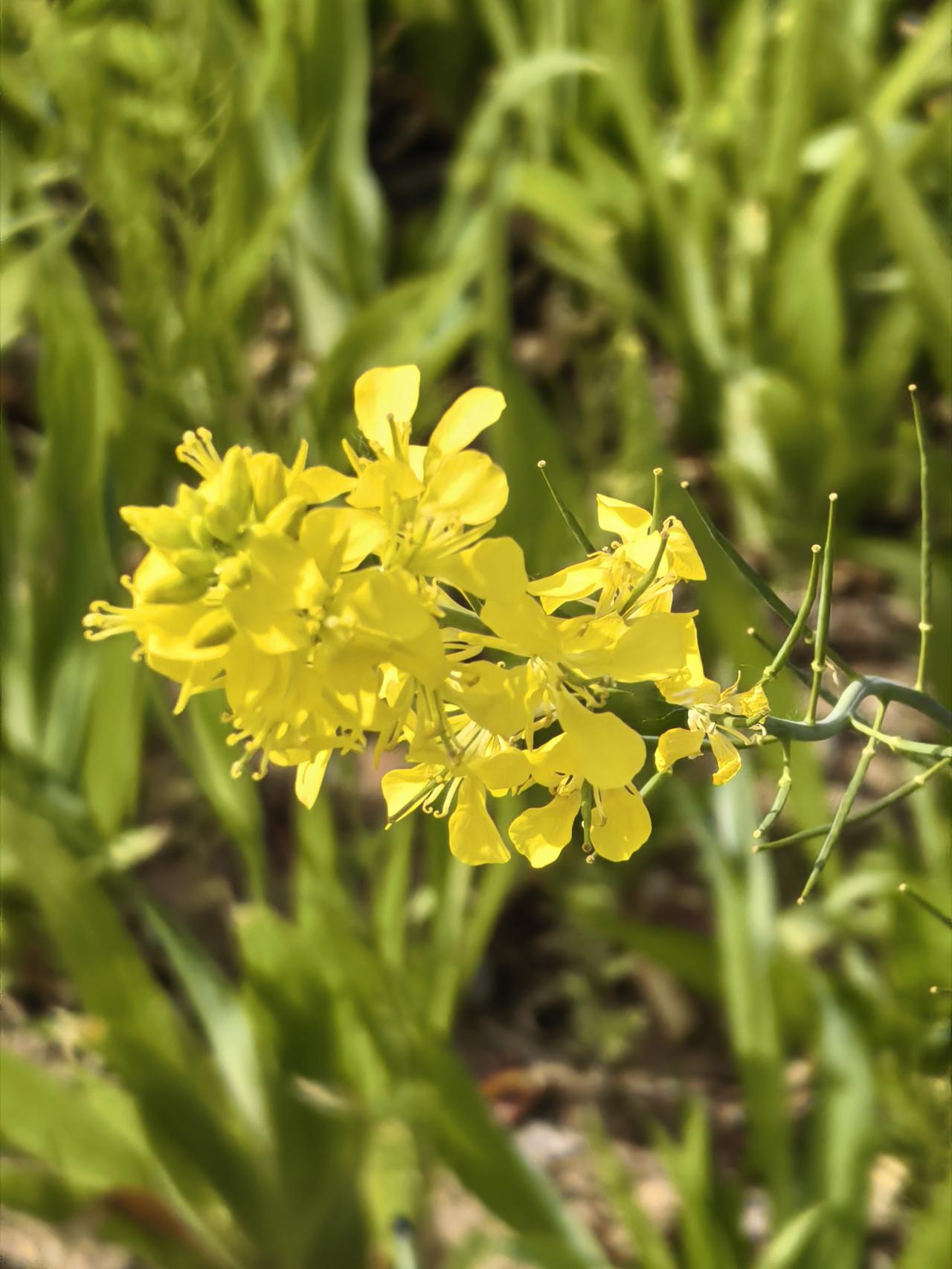 吃饭需要小口细嚼慢咽