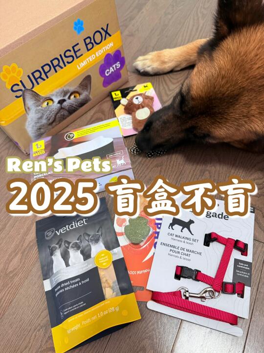 Ren's Pets 2025盲盒来啦🔉你觉得值吗❓