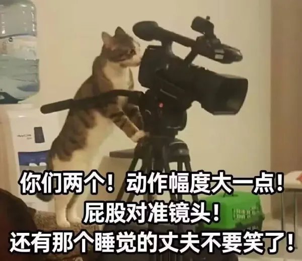 给网//黄系列配图blk 