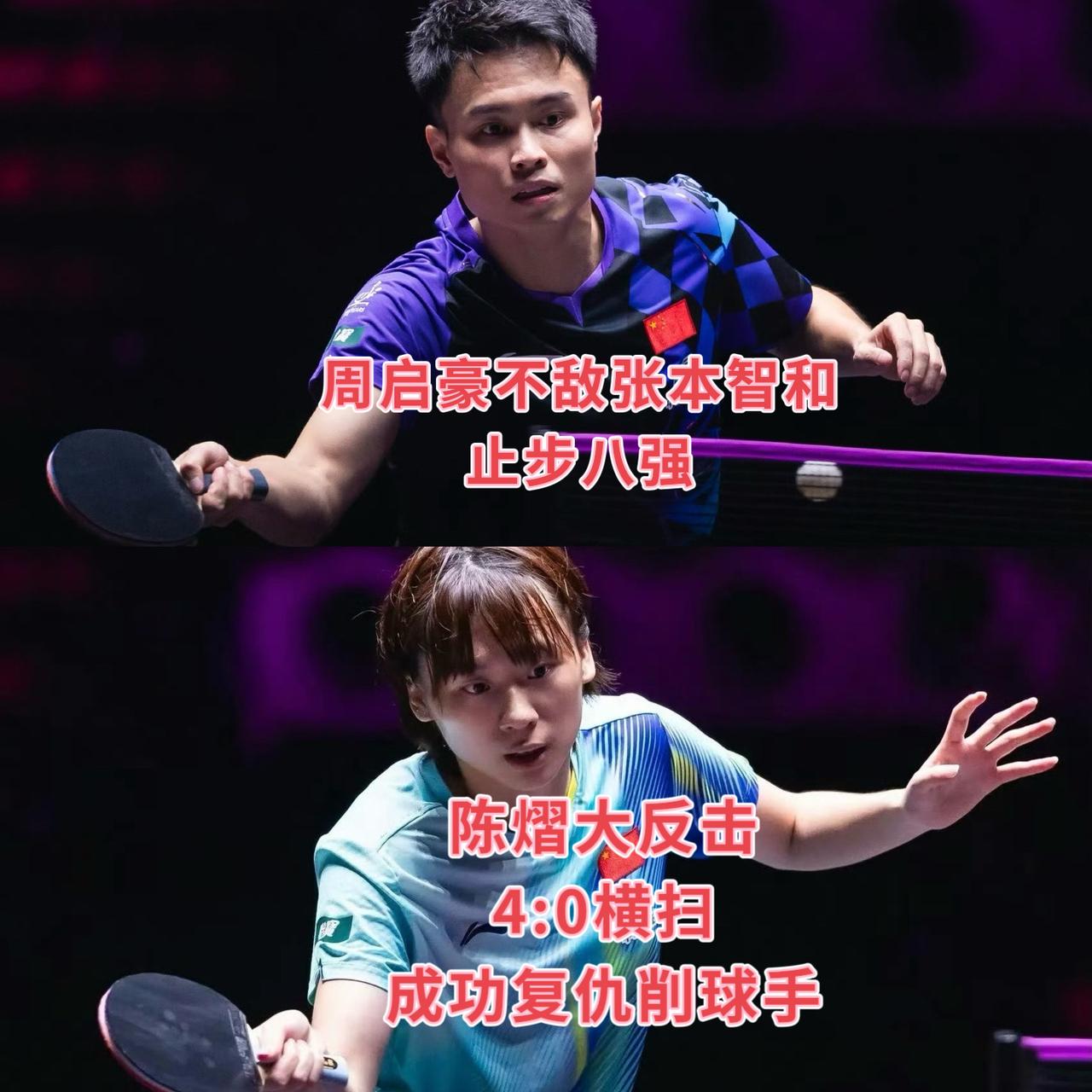 周启豪1:4不敌张本智和，
国乒男单全军覆没，无人晋级四强！

今天周启豪质量上