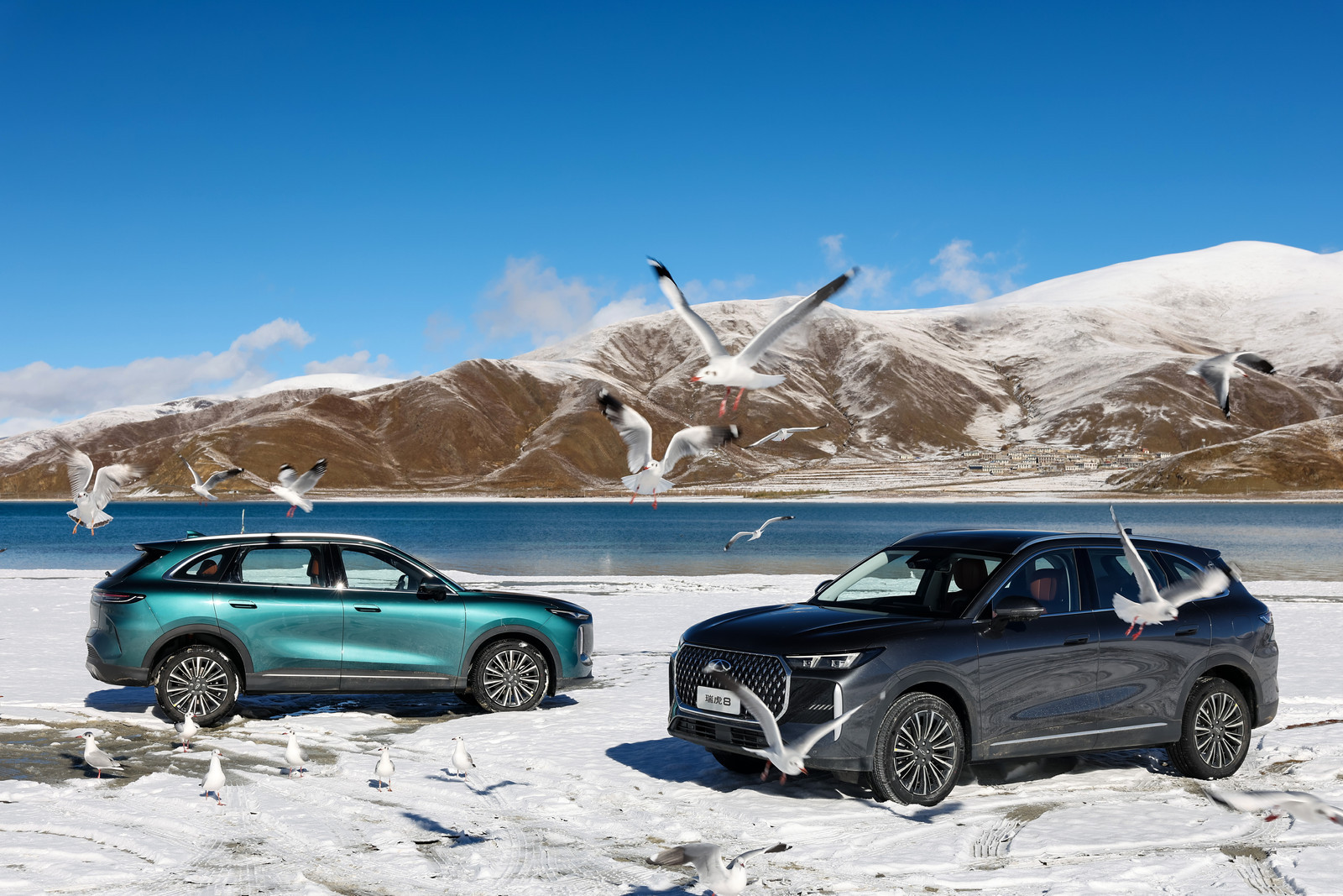 第五代奇瑞瑞虎8在拉萨正式开启预售，全栈自研的1.6T鲲鹏发动机可不是盖的，14