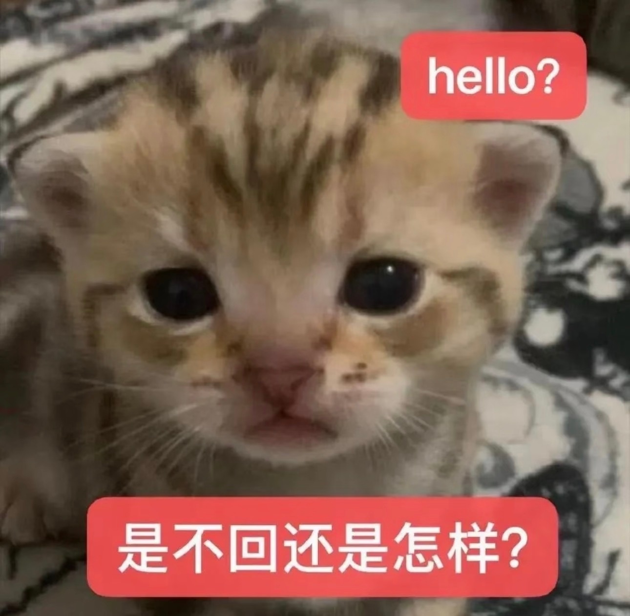 已经11点了，睡前做做📚巴适得很现在超话热度29.7万，再来3q就有30万了！