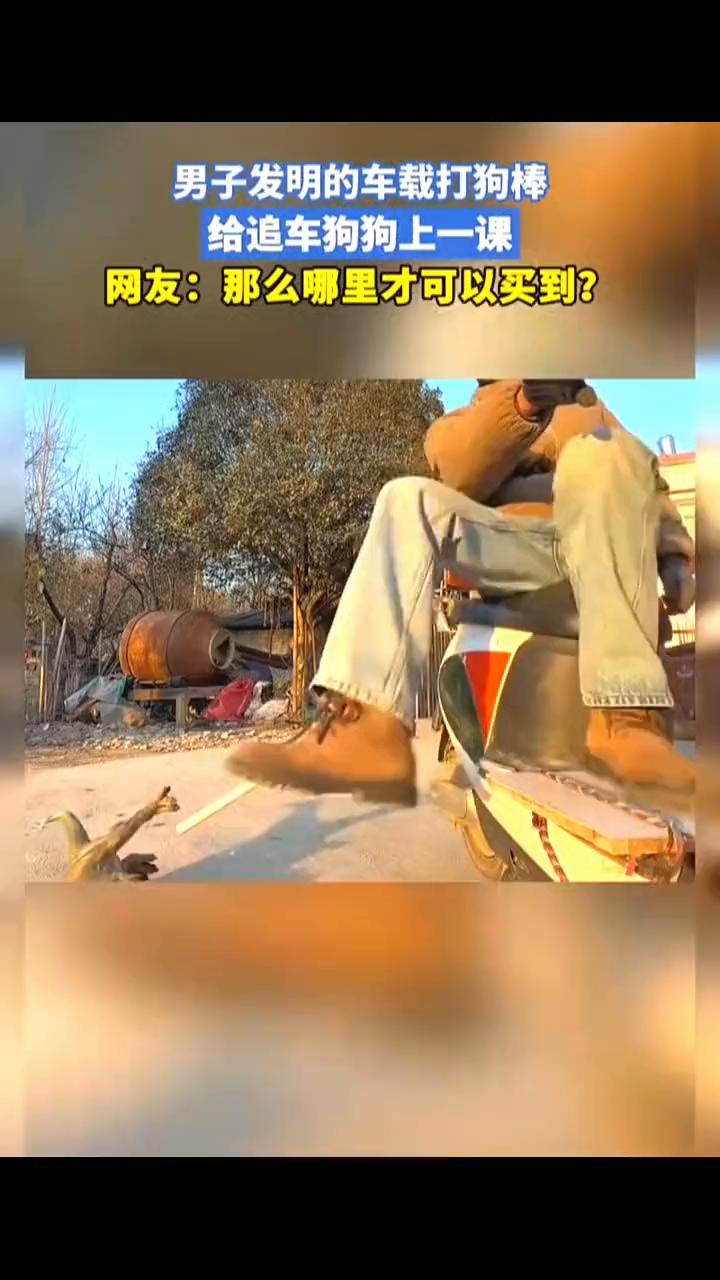 男子发明的车载打狗棒，给追车狗狗上一课。
网友：那么哪里才可以买到？