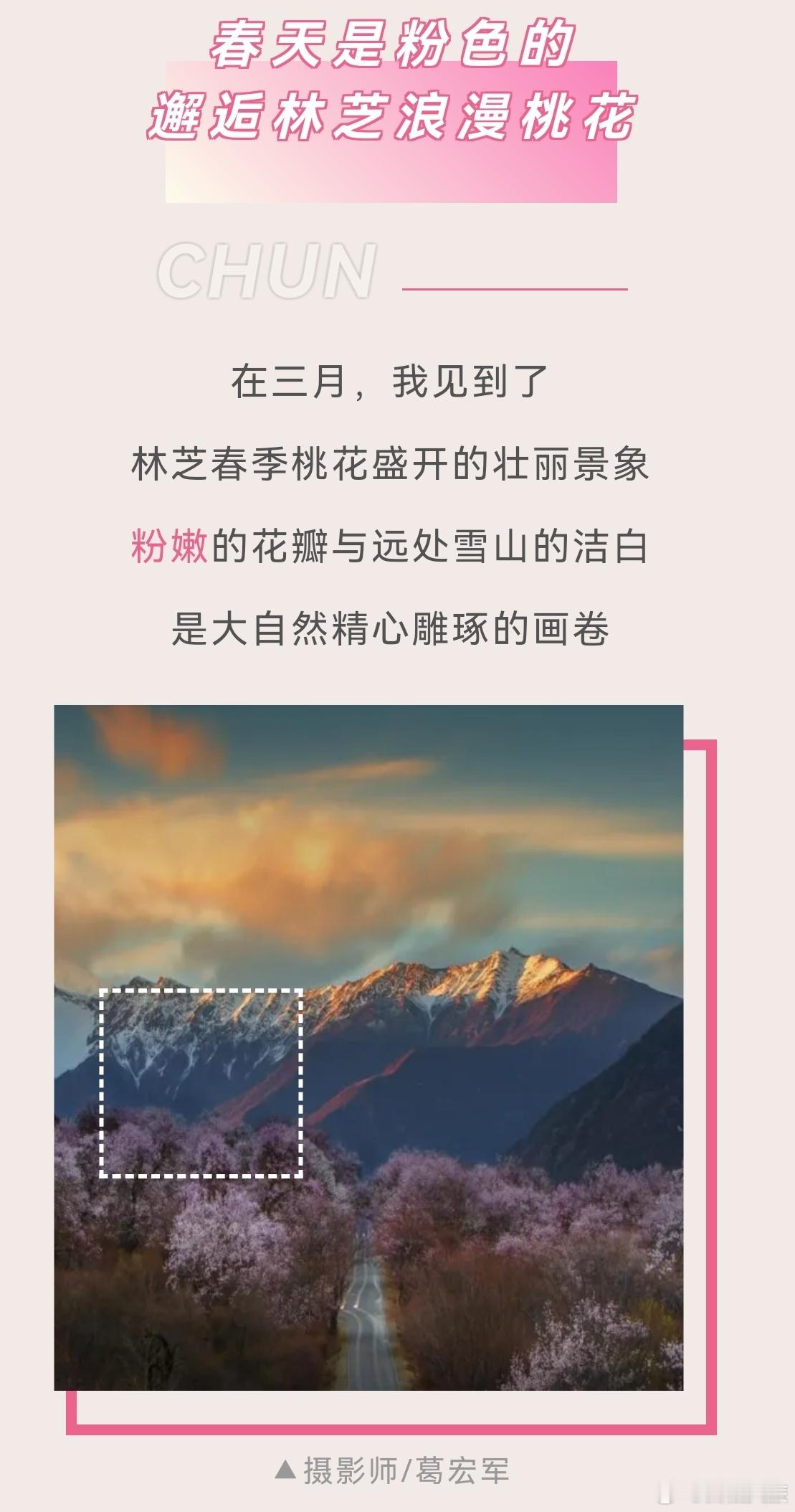 2024年终大盘点 “西藏文旅”拍了拍你！📸还有不到1天我们就即将迈过2024