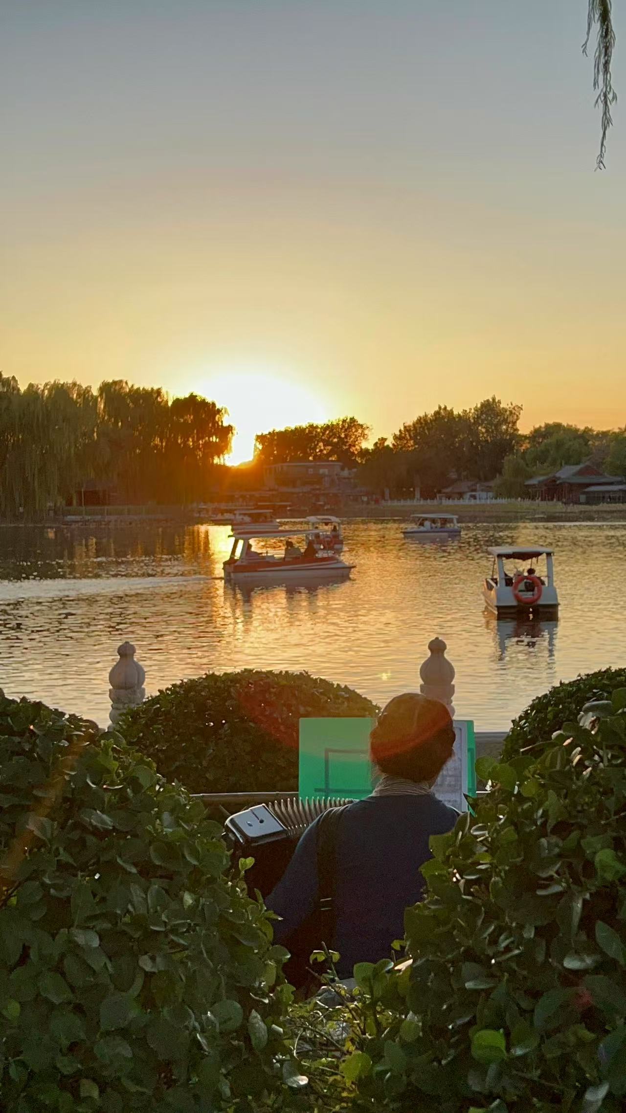晚霞🌇 ​​​