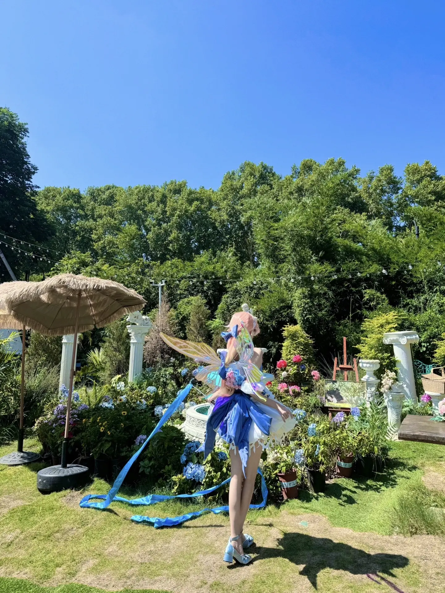 八音盒外的世界艾琳奇遇舞章