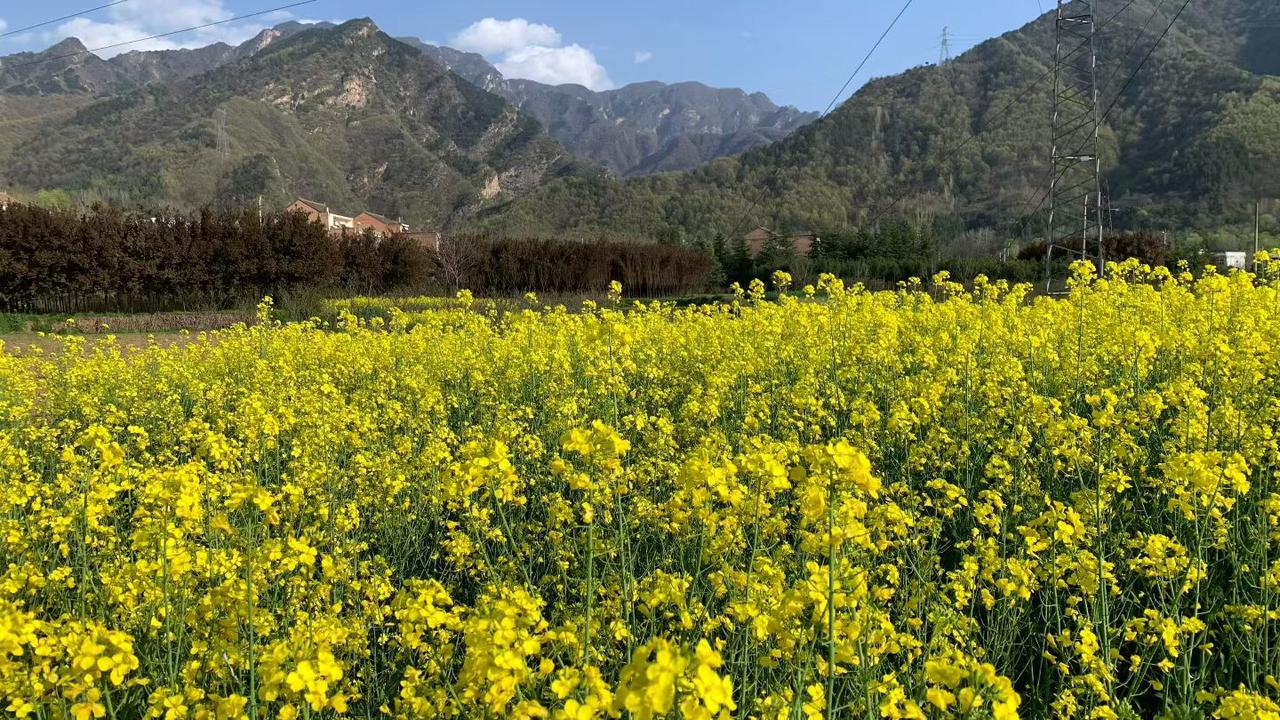 能分享一下你相册里的风景照片吗春天就像花儿一样美丽又浪漫。