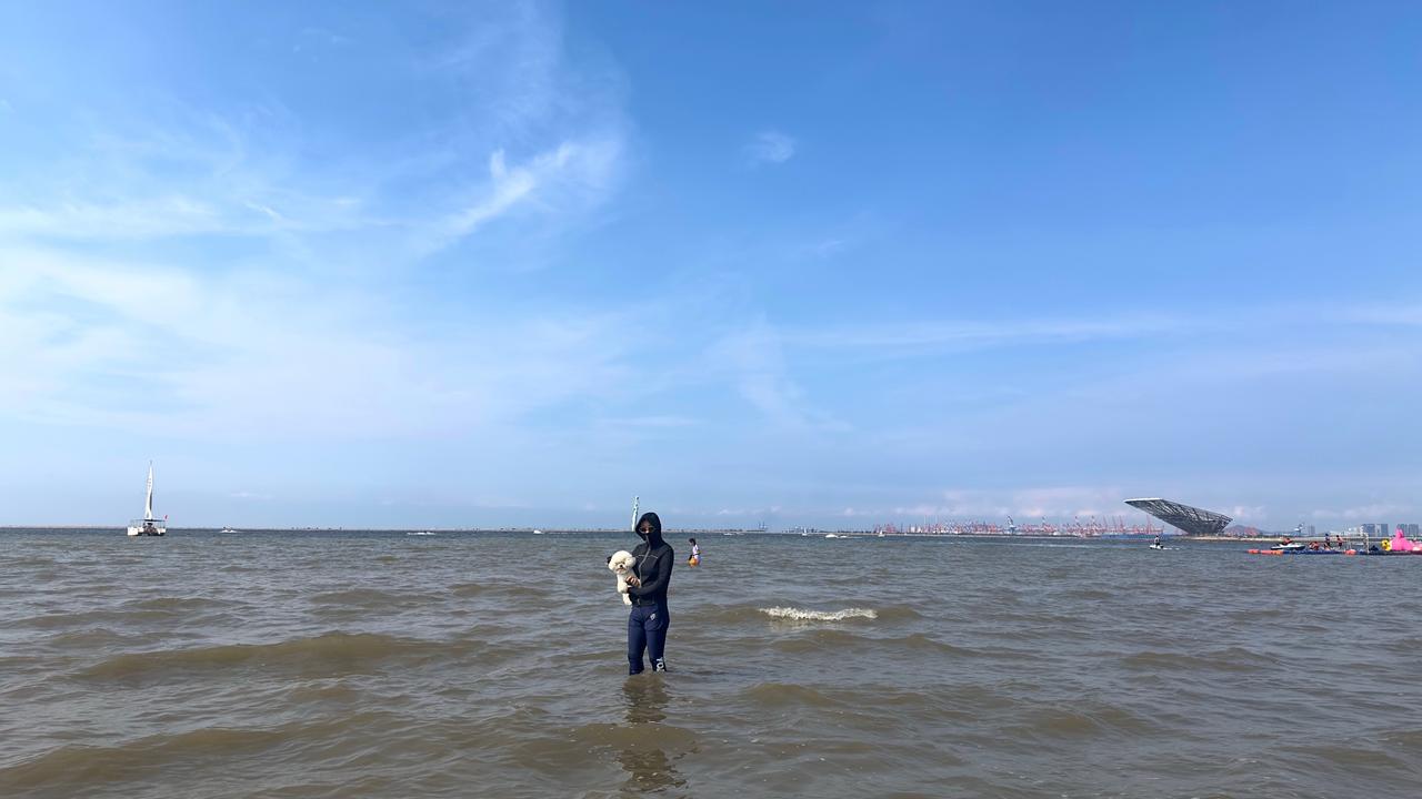 海里遛狗 海边的小孩