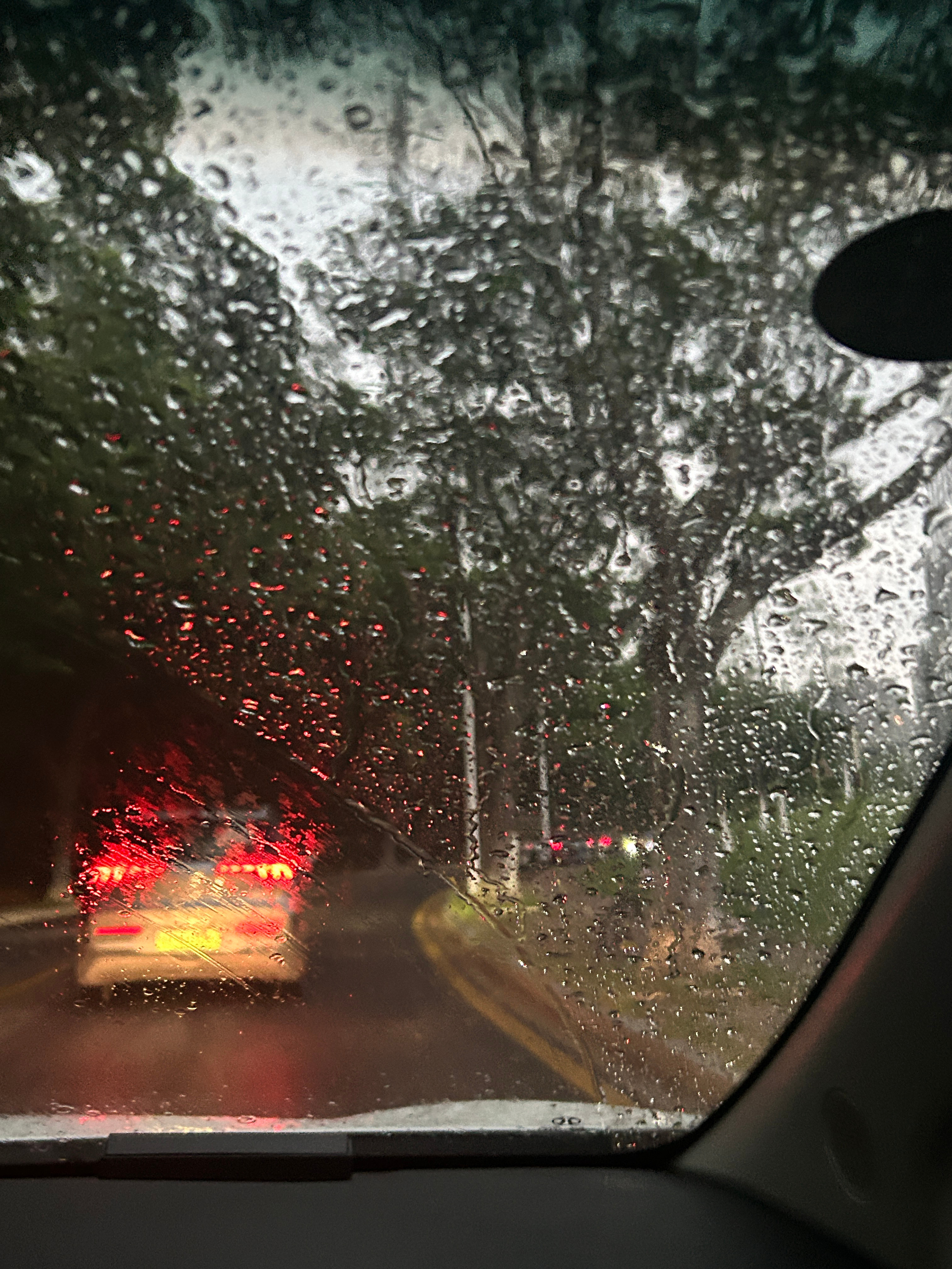 好大的雨🌧️豿豿