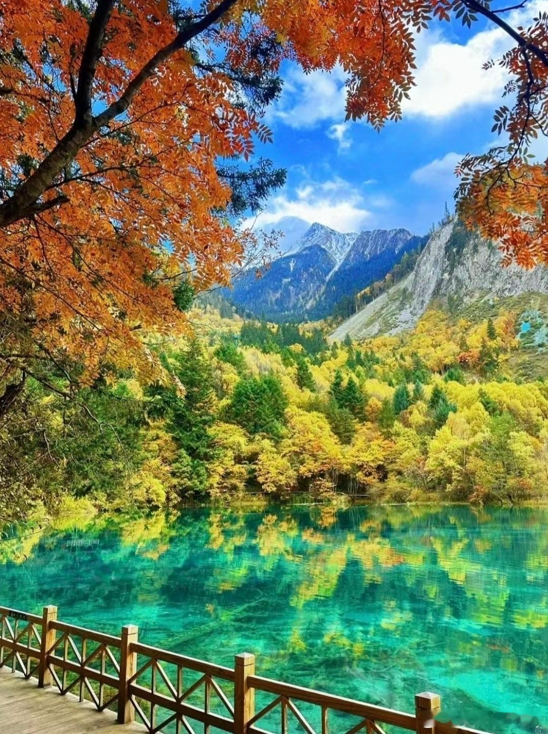最美的秋天[憧憬][憧憬][憧憬]新的故事，会在秋天温柔的晚风中开始🎊。 ​​