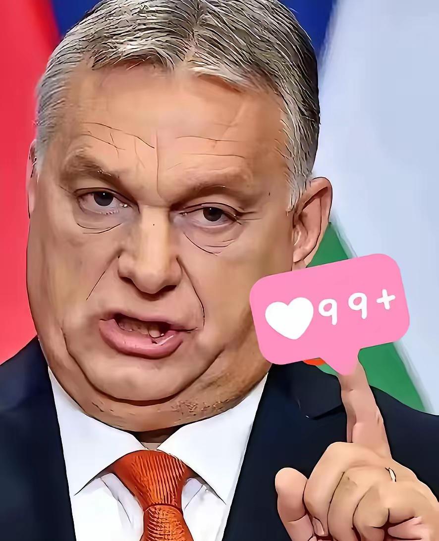 快报！欧尔班硬刚布鲁塞尔，匈牙利这条路走得太清醒！

1月5日，匈牙利总理欧尔班