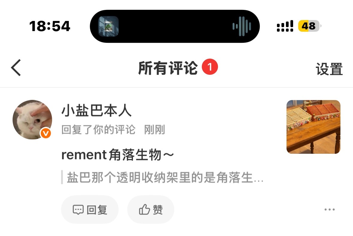 嘿嘿盐巴🧂  专栏 · 翻牌记录📝