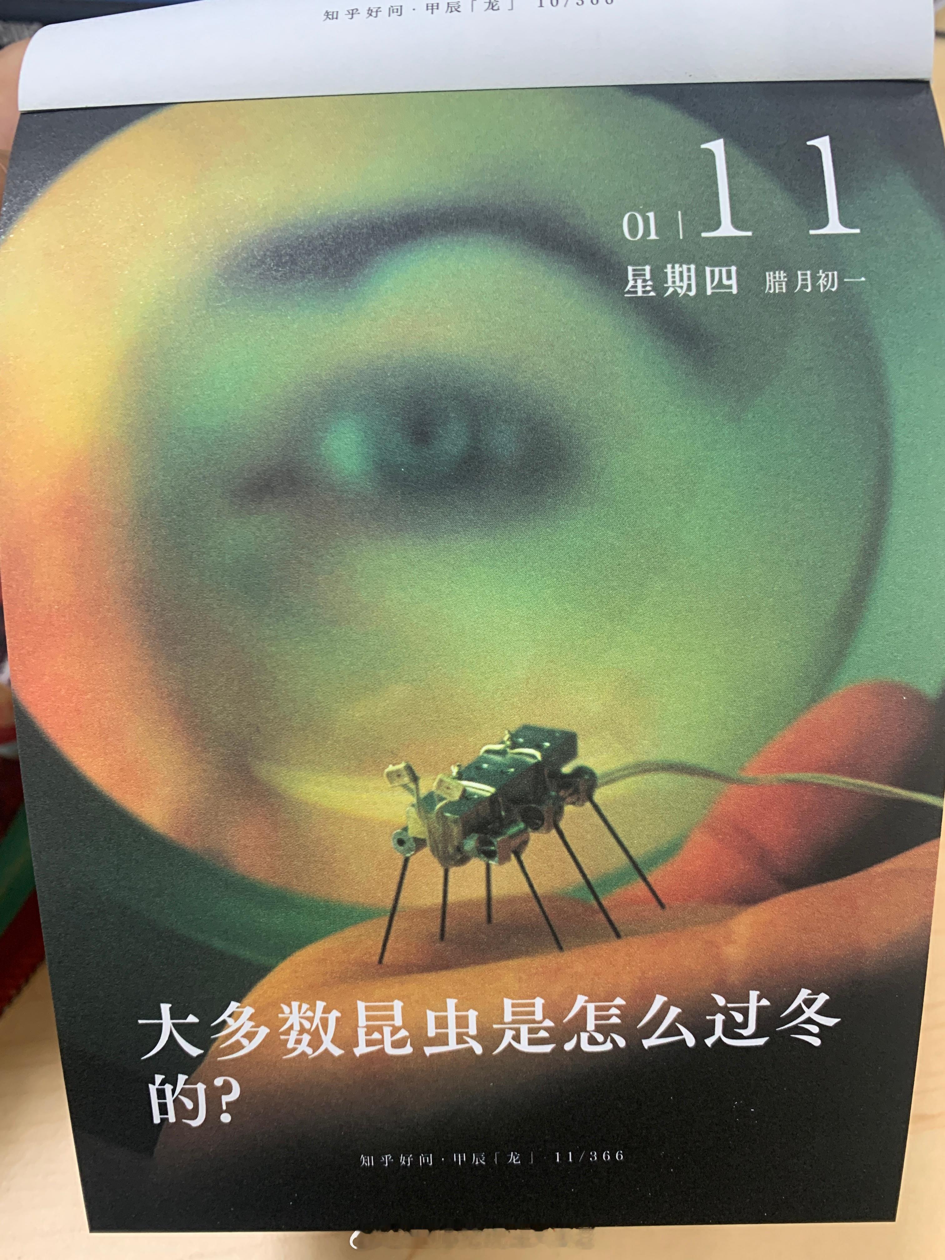 早安朋友们～你知道哪些昆虫的冬眠方式呢？ ​​​