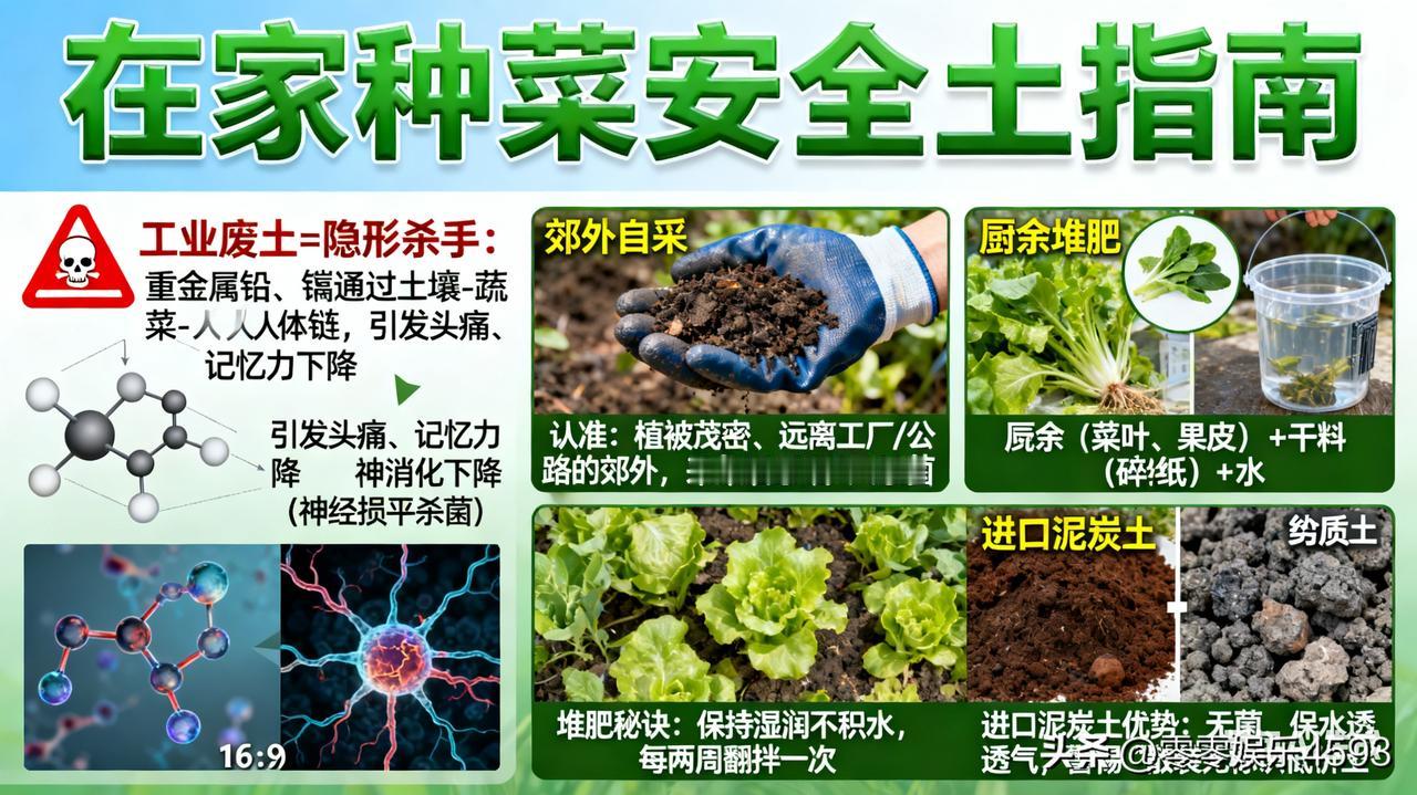 想在家种菜实现健康饮食？可得小心了！很多人从网上买种植土，结果买到的竟是工业废土
