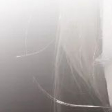 每日一善 ⭐每日一善 每一分收获，都来自你坚持不懈的努力；每一分汗水，都是你成功