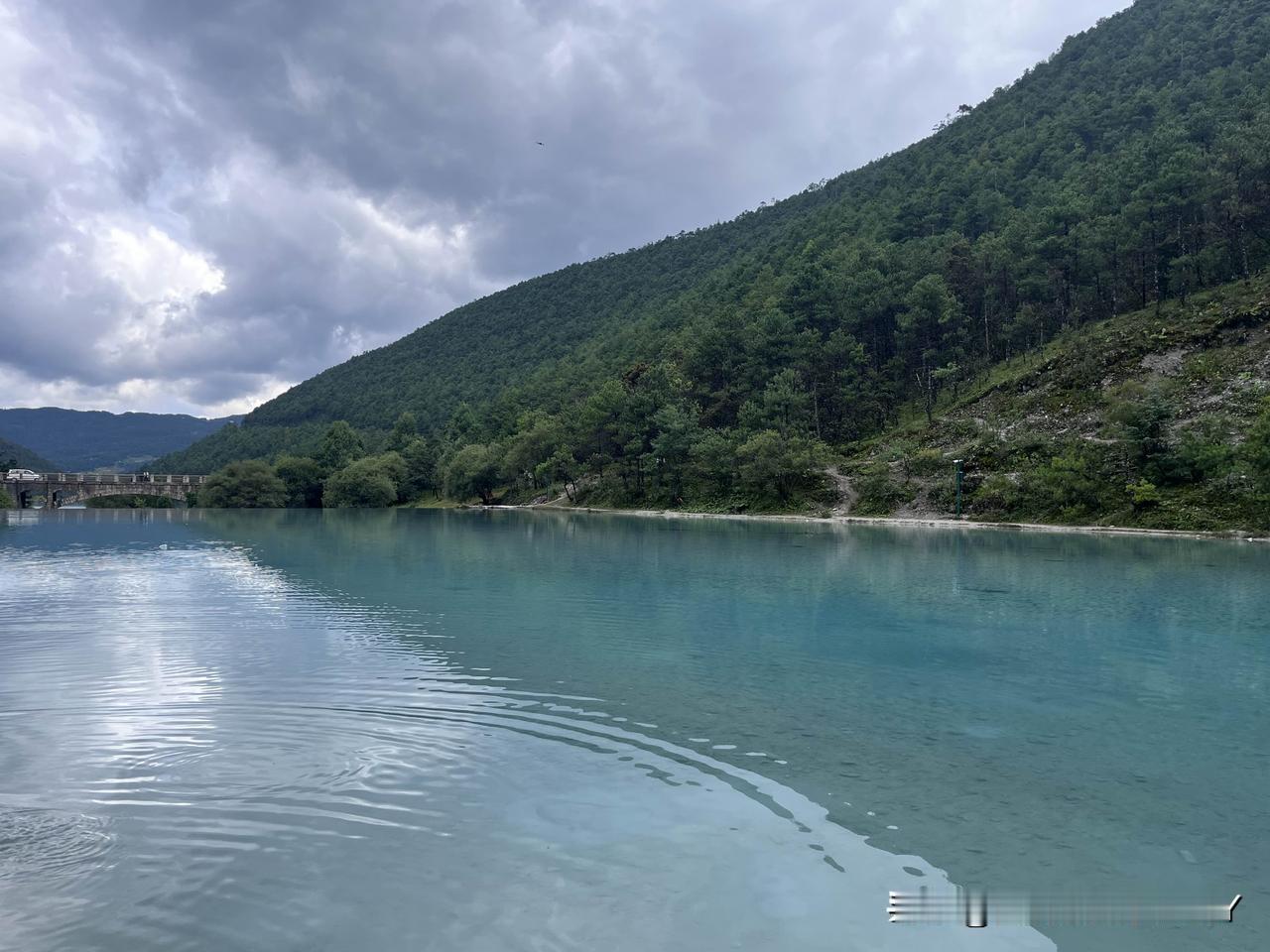 暑假云南之旅结束了，说说此次跟团旅游的感受。网上报了一个豪华旅游团1500一个人