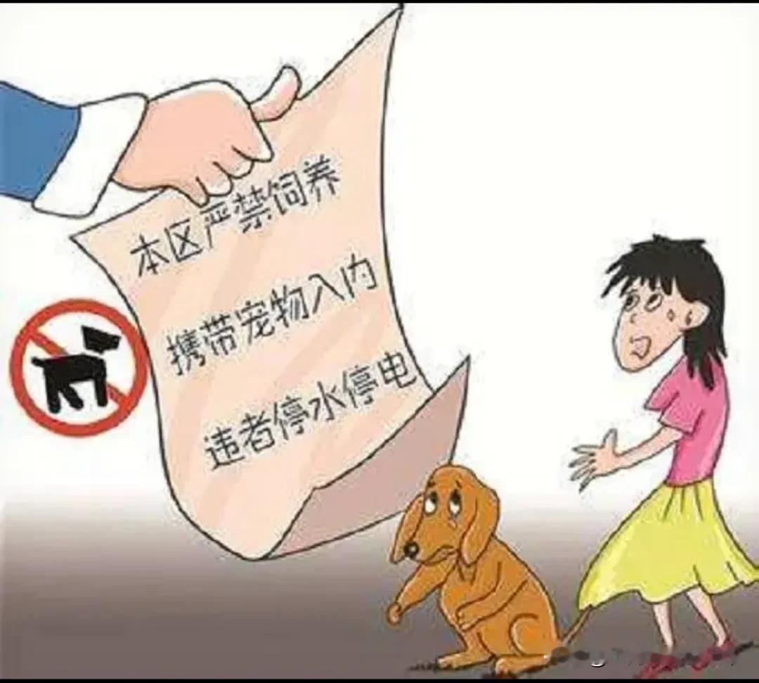 #小狗未拴绳被碾压 主人崩溃捶打司机#有关法律法规明确表明了“遛狗不栓绳属于违法