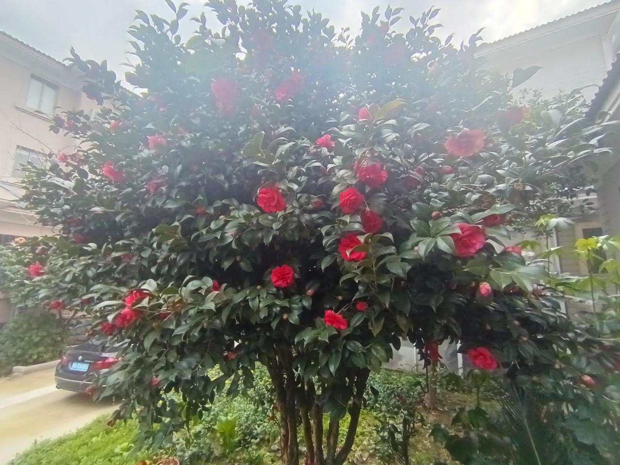 日日平平安安，求下联