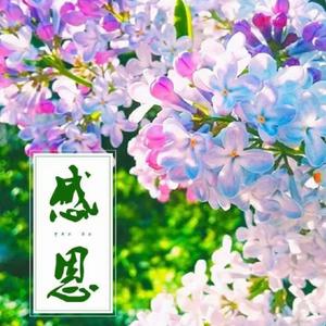 感恩遇见你呀