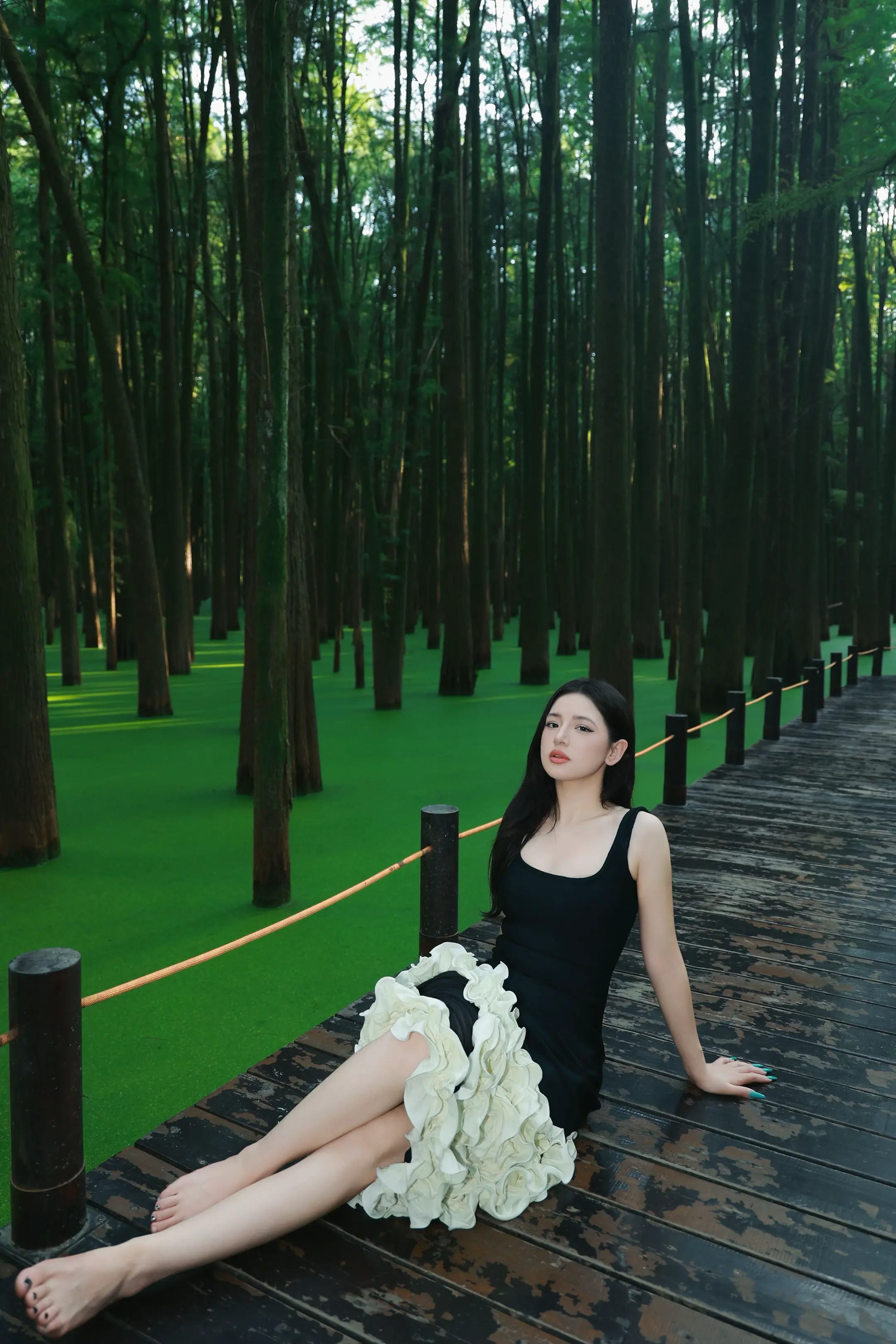 我能给你的只有感觉🌳