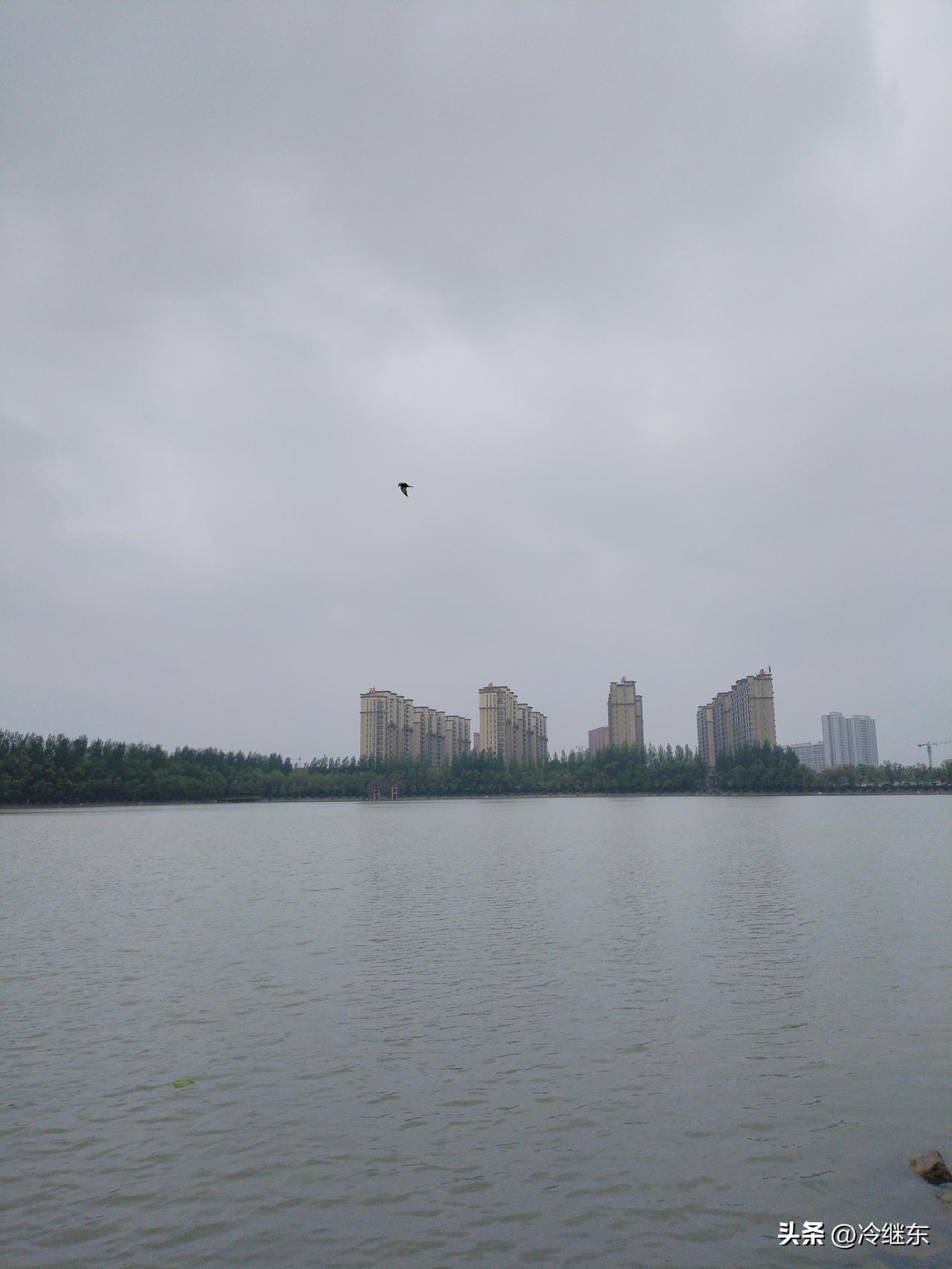 旅游时会尝试惊险项目吗？不会的。
   第一，对于追求惊险刺激没有兴趣。我已经不