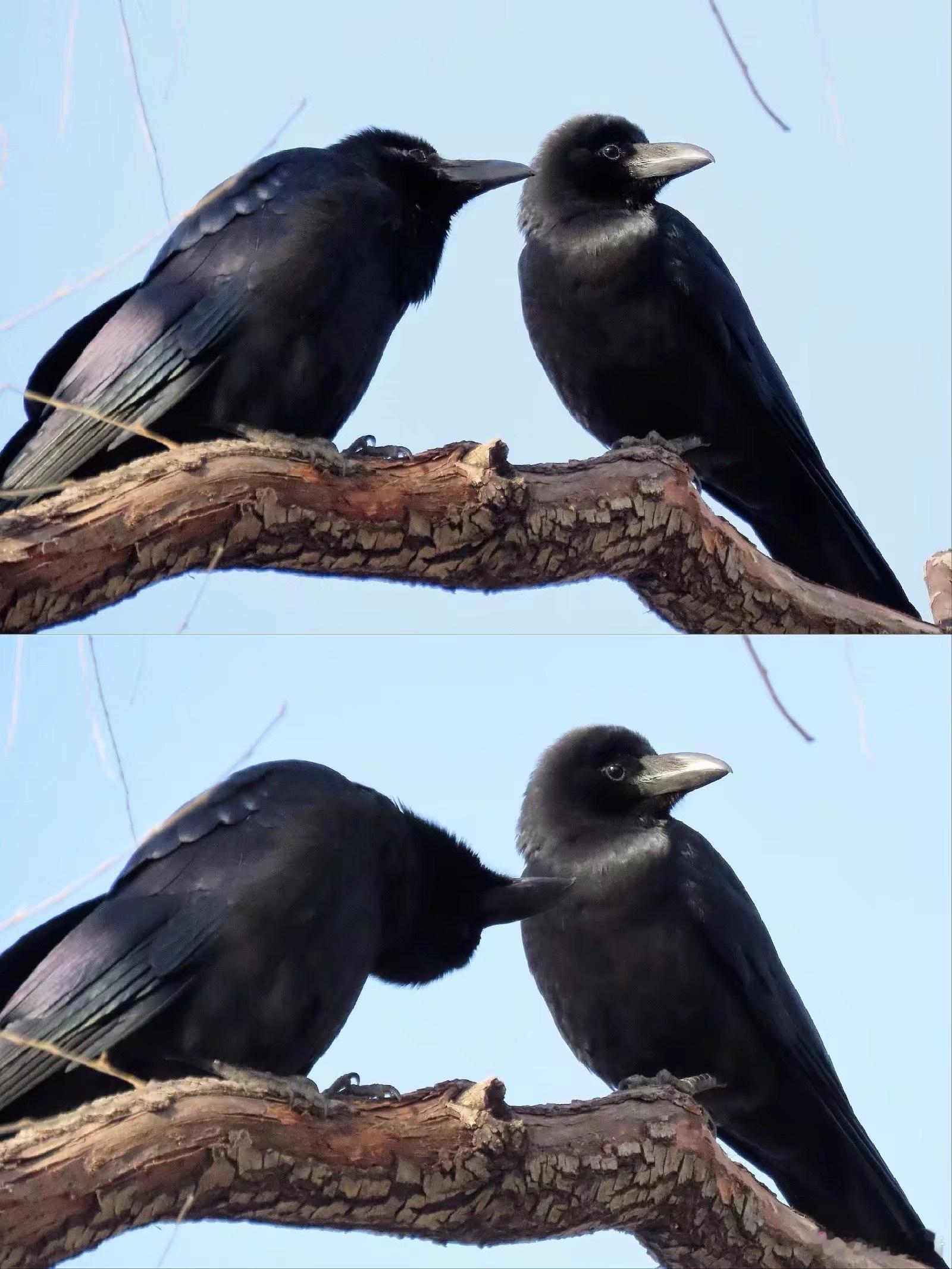 你听我说啊…你听我说嘛。 