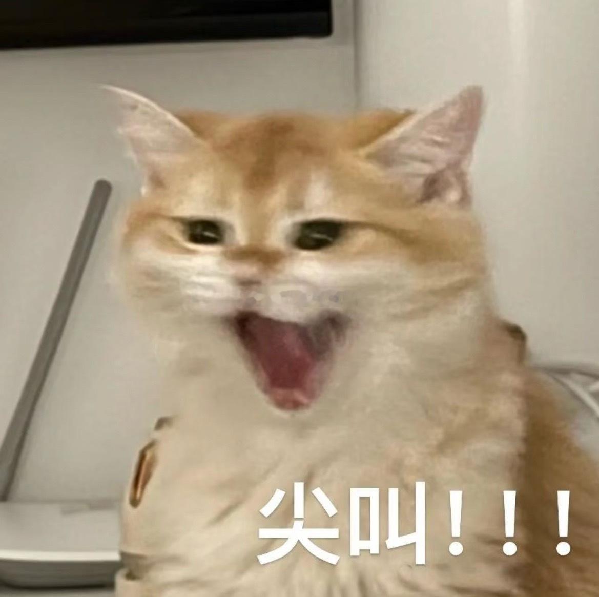 🐺在我心里就是软软糯糯的小奶狗不管怎么样都要贴贴，睡觉贴贴吃饭贴贴出门逛街也要