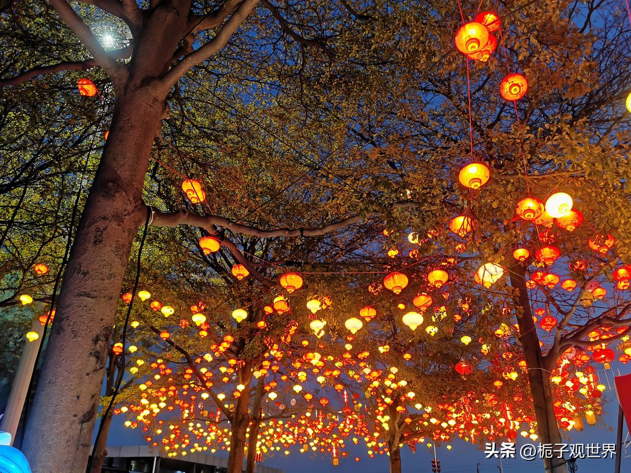 打卡厦门集美园博园灯会，
春到人间人似玉，灯烧月下月如银。