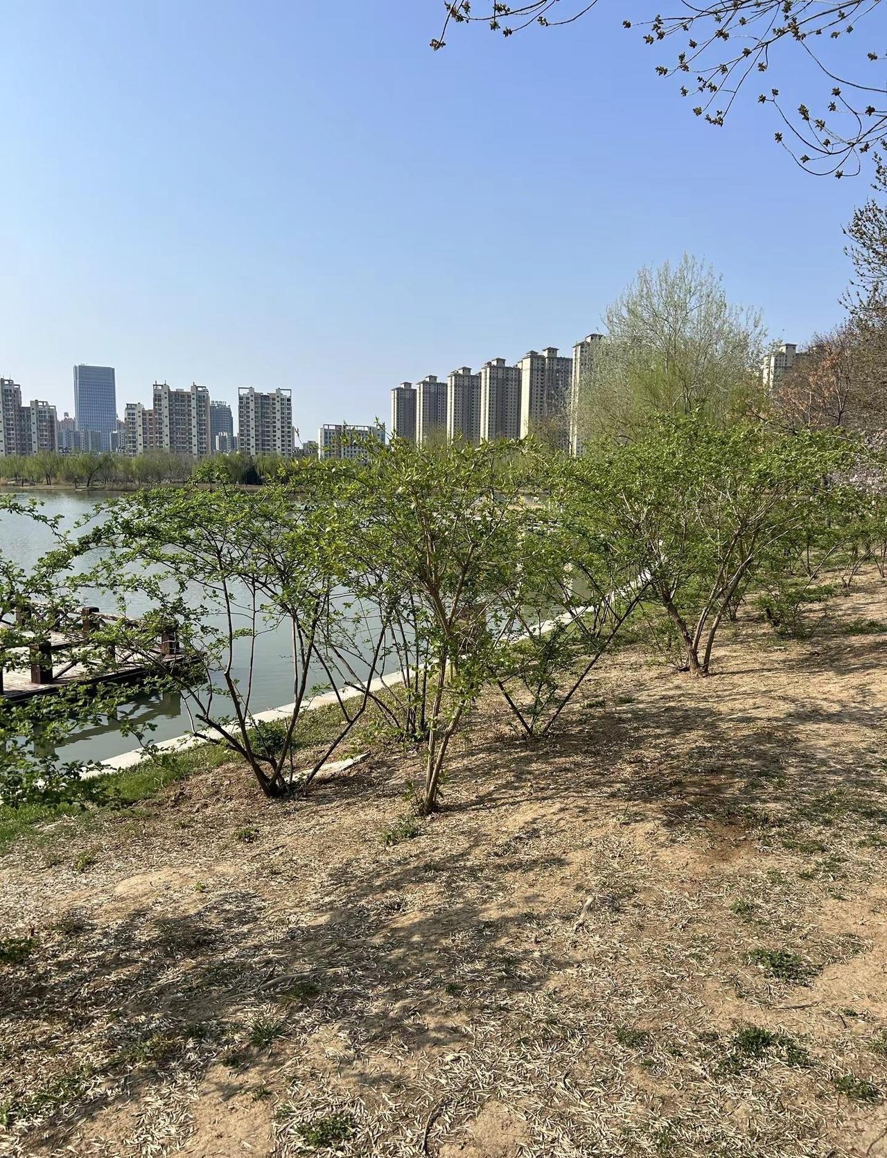 城市记忆 城市绿化 城市生活 自然疗愈 生态平衡