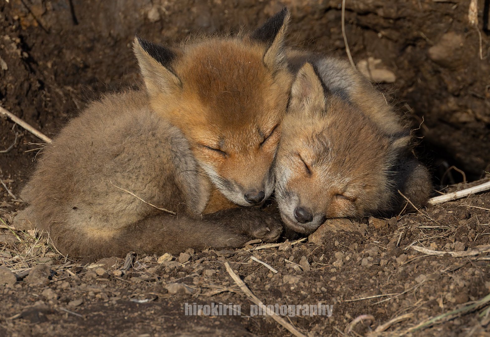 ©hirokirin_photo 