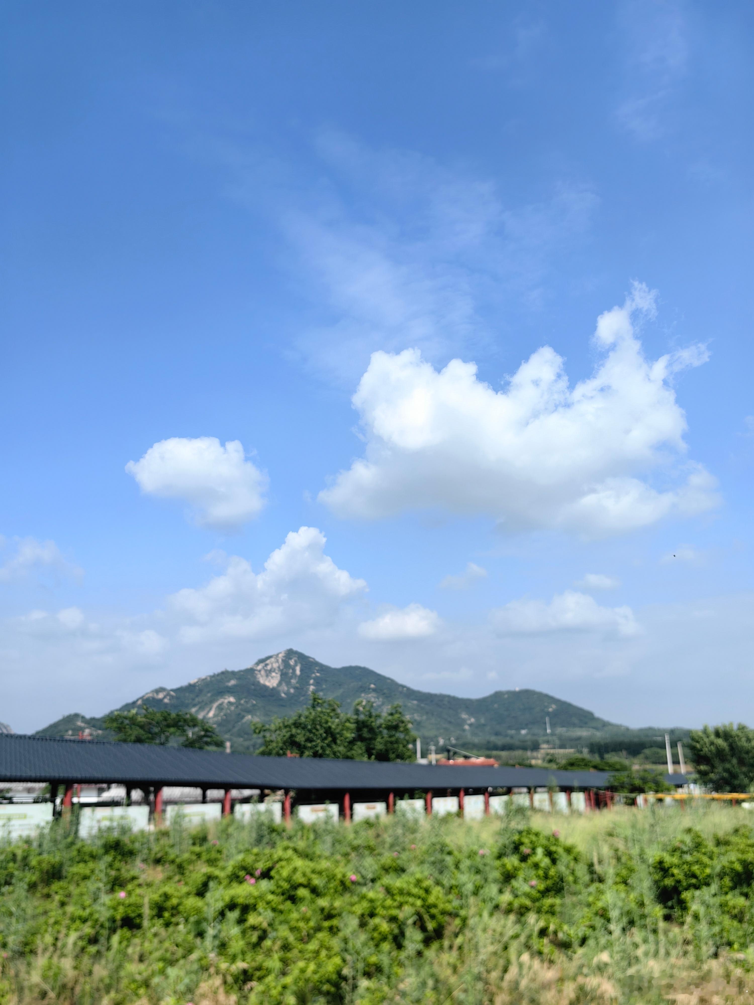 沿途的风景 少无适俗韵，性本爱丘山。误落尘网中，一去三十年。羁鸟恋旧林，池鱼思故