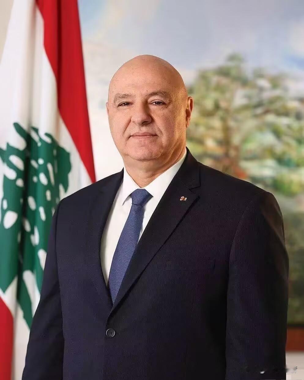 黎巴嫩最新消息！
4月15日，黎巴嫩公共卫生部紧急行动中心公布了一组揪心的数据。